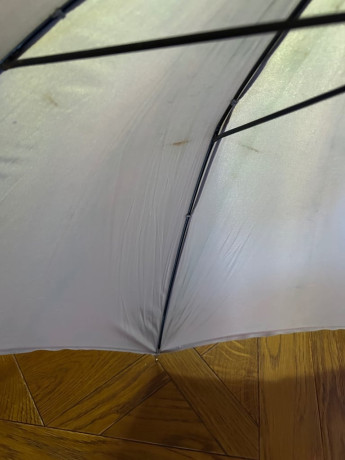 mother-of-pearl-handle-paragon-umbrella-big-3