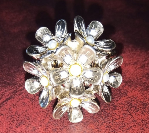 ring-with-flexible-band-only-ps10-big-1