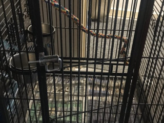 large-bird-cage