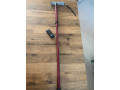 walking-stick-small-1