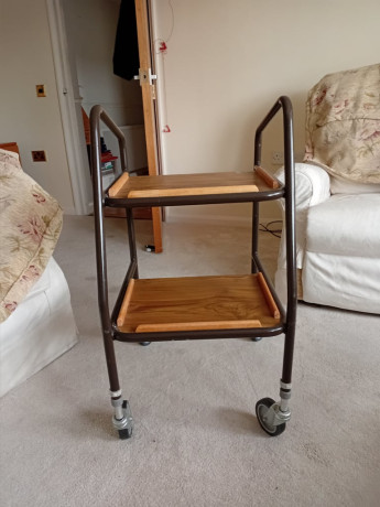 indoor-mobilty-walker-with-trays-big-0