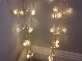 reduced-rose-branch-lights-x2-warm-white-battery-operated