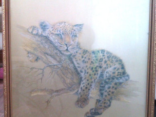 vintage-framed-picture-baby-leopard-cub