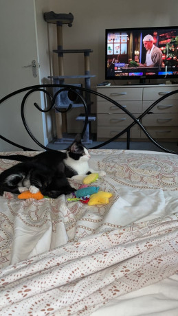 double-divan-base-with-double-spring-mattress-big-1