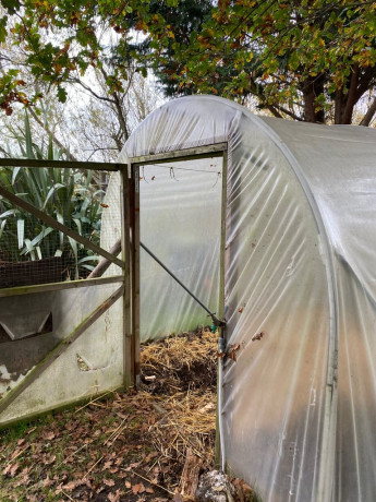 16x8-poly-tunnel-big-3