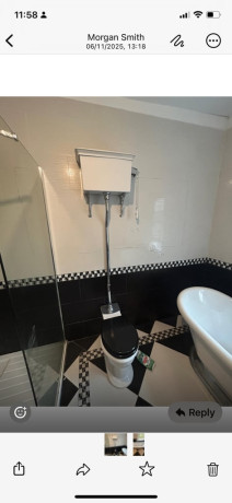 bath-toilet-and-pedestal-big-0