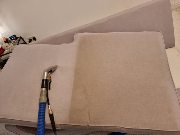 affordable-carpet-cleaner-5-reviews-big-3