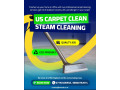 professional-carpet-upholstery-cleaning-services-small-3