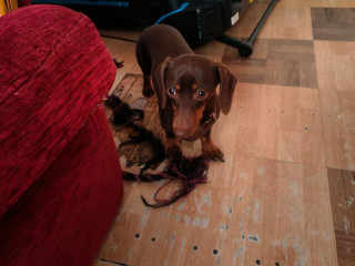 due-to-leaving-country