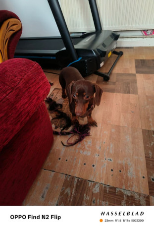 due-to-leaving-country-big-0