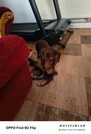 due-to-leaving-country-big-1