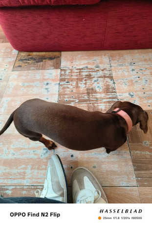 due-to-leaving-country-big-2