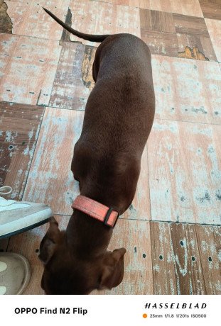 due-to-leaving-country-big-3