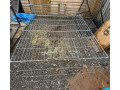 rabbit-runhutch-prices-individual-small-3