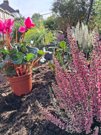 mini-and-micro-digger-operated-hire-big-2