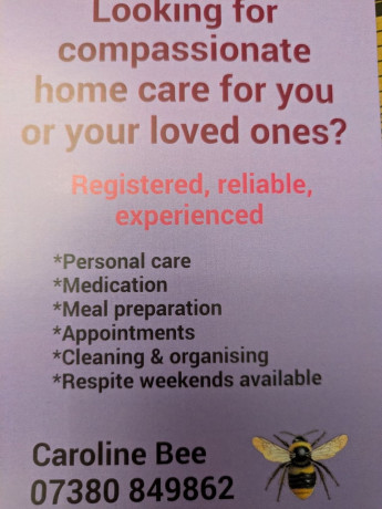 friendly-live-in-care-before-christmas-1-week-free-offer-big-2