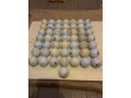 50-x-titleist-golf-balls-small-2