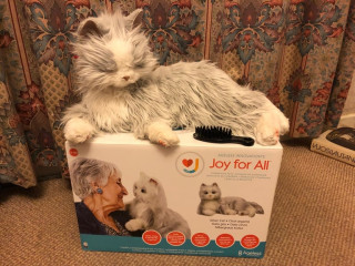 realistic-looking-cat-for-alzheimers-person