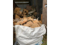 split-oak-logs-small-0