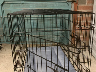 dog-crate