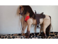 our-generation-huge-dolls-horse-ex-condition-ps25-small-1