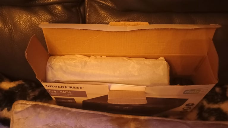 dab-radio-new-never-used-ps25-big-2