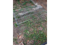 rabbit-guinea-pigss-2-cages-indoor-and-outdoor-small-1