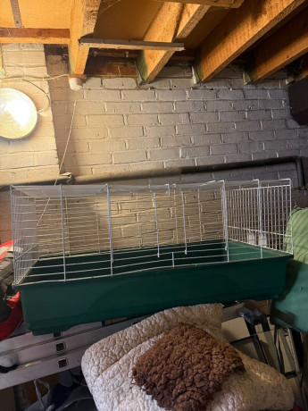 rabbit-guinea-pigss-2-cages-indoor-and-outdoor-big-0