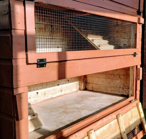 rabbit-hen-banty-or-guinea-pig-hutch-coop-big-2