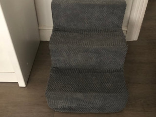 dog-steps