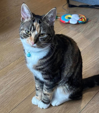 beautiful-bonnie-big-2