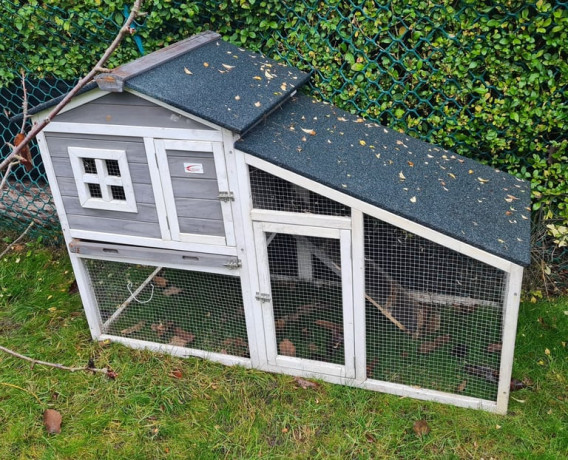 wh55-pet-whippet-number-plate-big-3