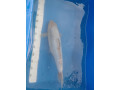 various-koi-for-sale-small-3