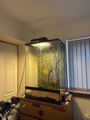60x45x90cm-exo-terra-glass-vivarium-big-0