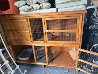 6-month-old-rabbit-hutch