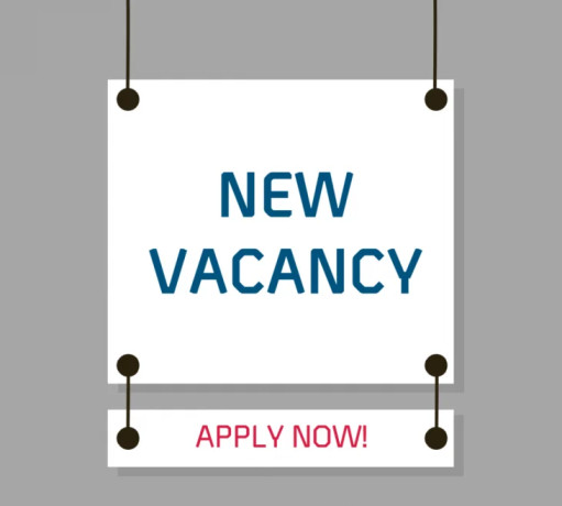 employability-lead-big-0